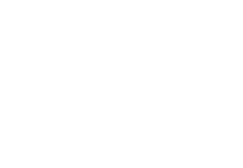 orso bruno marsicano