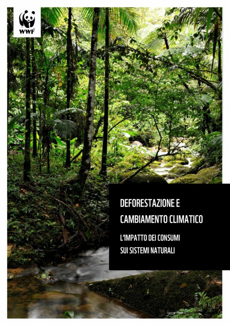 Cover report clima e foreste
