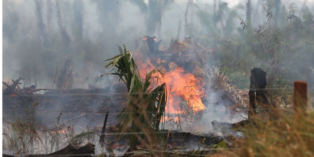 Il 22 aprile è la Giornata della Terra