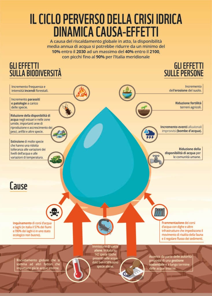 infografica crisi idrica