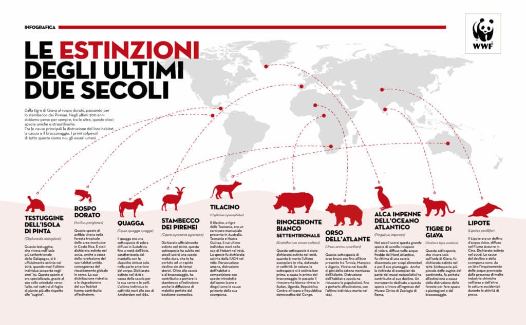 Estinzioni-infografica