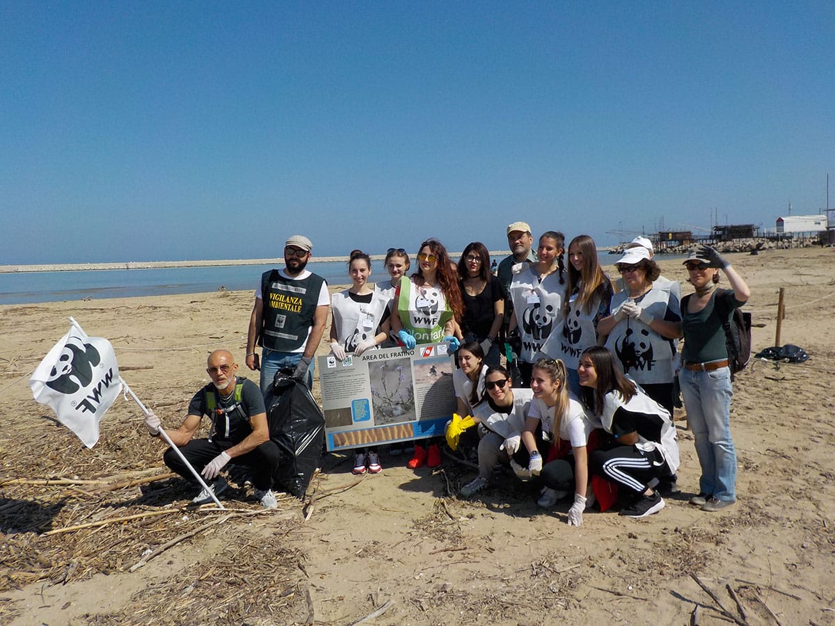 Volontari in azione per ripulire la spiaggia del fratino