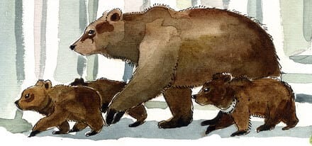 Disegno di Fulco Pratesi