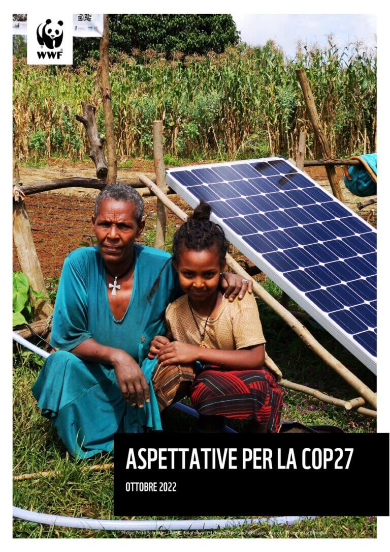 Cover "Aspettative per la COP27"