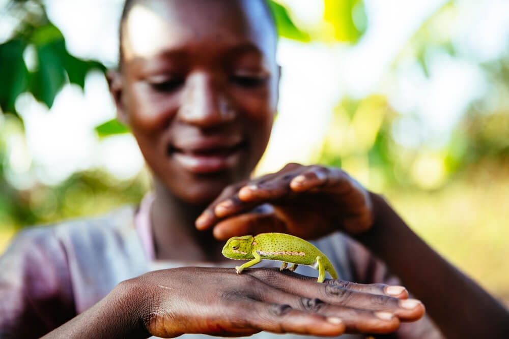 Living Planet Report