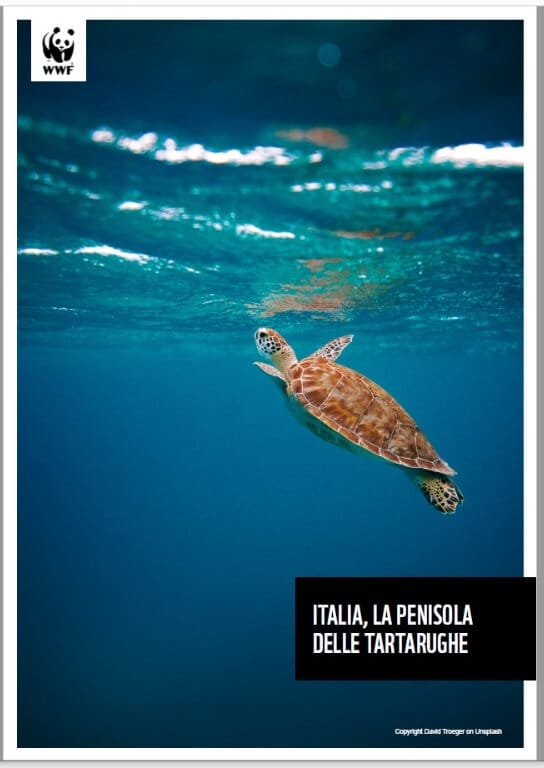 Cover report WWF tartarughe
