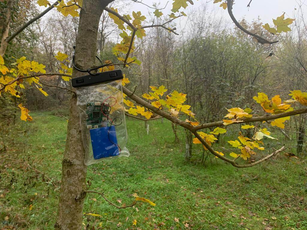 Guardiani della Natura Huawei e WWF
