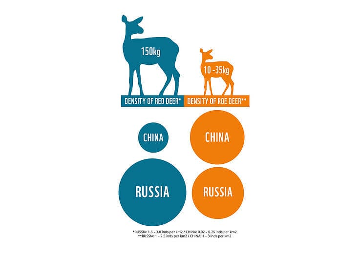 Grafico che confronta la densità delle prede per le tigri in Russia e in Cina