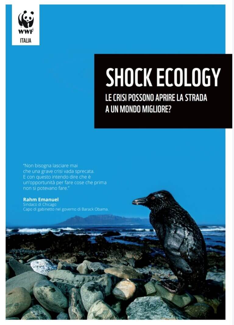 Shock ecology