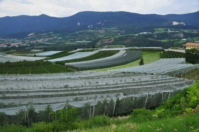 Meleti, Trentino, distretto biologico